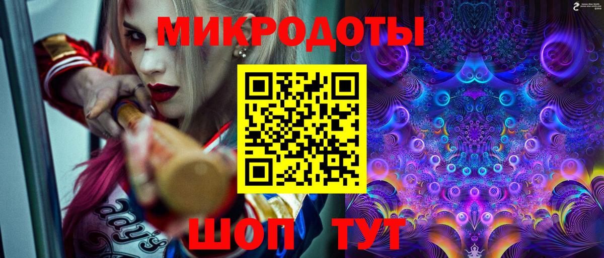 Псилоцибиновые грибы Psilocybe Кемерово